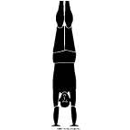 adho_mukha_vrksasana Adho Mukha Vrksasana