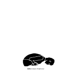 Baddha Konasana forward bend