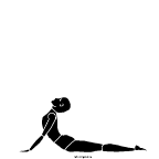 bhujangasana Bhujangasana