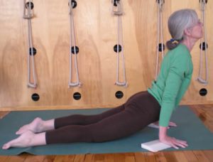 Urdhva Mukha Svanasana